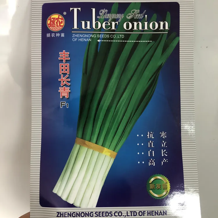 丰田长青不休眠韭菜种子，叶片宽大，叶色弄哭