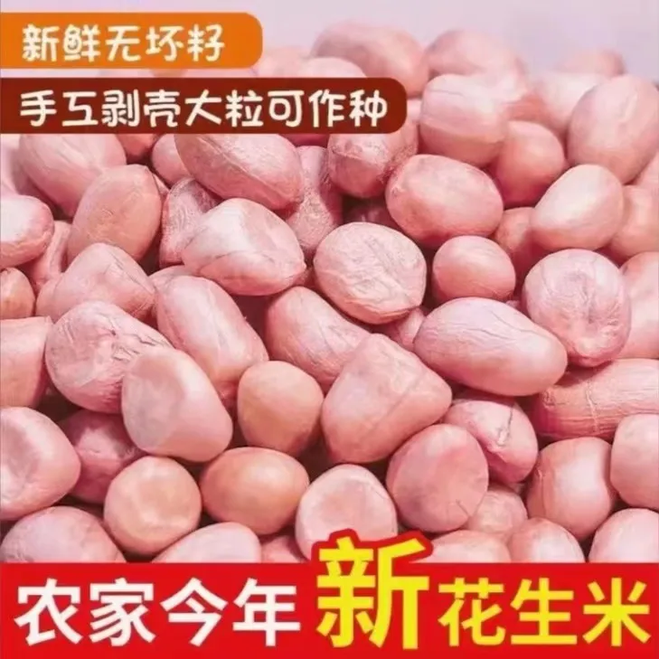 高山 山货 农家花生米