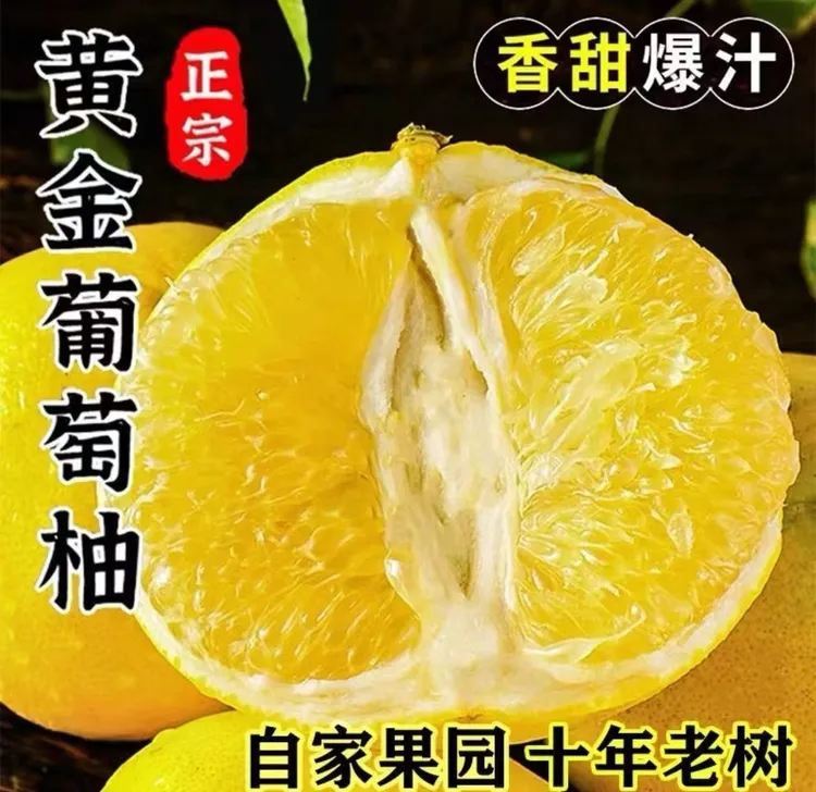 【产地直发】正宗福建黄金葡萄柚应季新鲜水果香甜多汁果园现摘现发