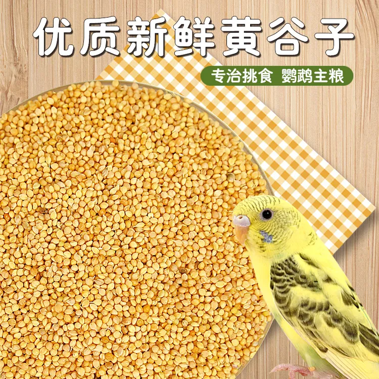优质带壳黄谷子干净鸟粮谷子小米鹦鹉食粮鹦鹉牡丹中小型鸟食饲料
