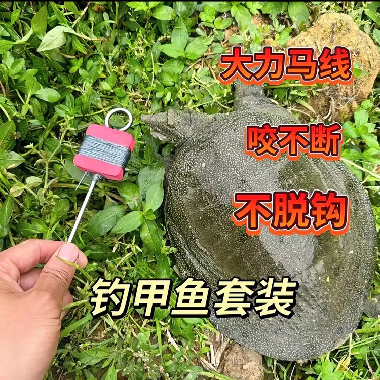 钓甲鱼专用【甲鱼钩线组套装钓鱼】全套大力马耐磨耐用厂家直销