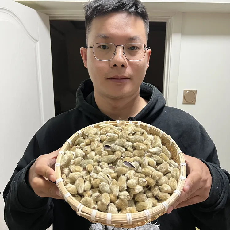 【本草李博士】无硫辛夷花道地河南辛夷精选正宗香料搭配肉桂石菖蒲
