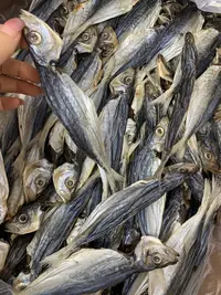 【蚝西施专线】本港带头巴浪鱼包邮