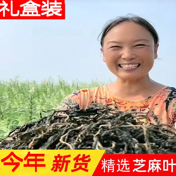 【萍姐专属】今年新货农家晒制脱水芝麻叶河南特产晒干芝麻叶500g