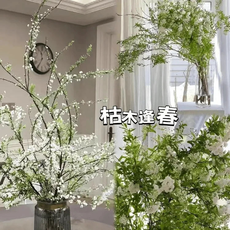 【带绿芽包发货】雪柳鲜枝耐寒开花花卉绿植干枝雪柳水培植物鲜花