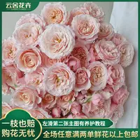 【云舍花卉】【丽丽卡】多头玫瑰 全场任意满两单及以上鲜花包邮