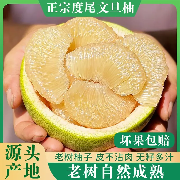 正宗福建仙游度尾蜜柚老树文旦柚多汁当季孕妇水果新鲜包邮5斤10