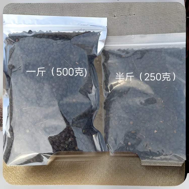 小珊严选饶河深山（刺五加籽 250g）起包邮
