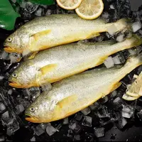 【顺丰发货】④新鲜速冻美味海捕黄鱼 清蒸红烧 肉质鲜嫩200g/条*7条
