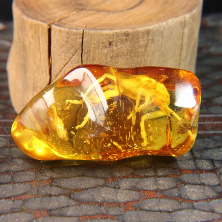琥珀原石天然虫珀