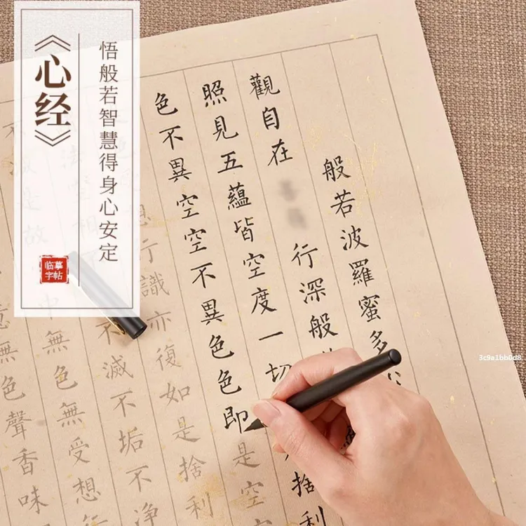 《心经》正版小楷临摹静心抄经字帖毛笔书法大悲药师地藏经抄写本