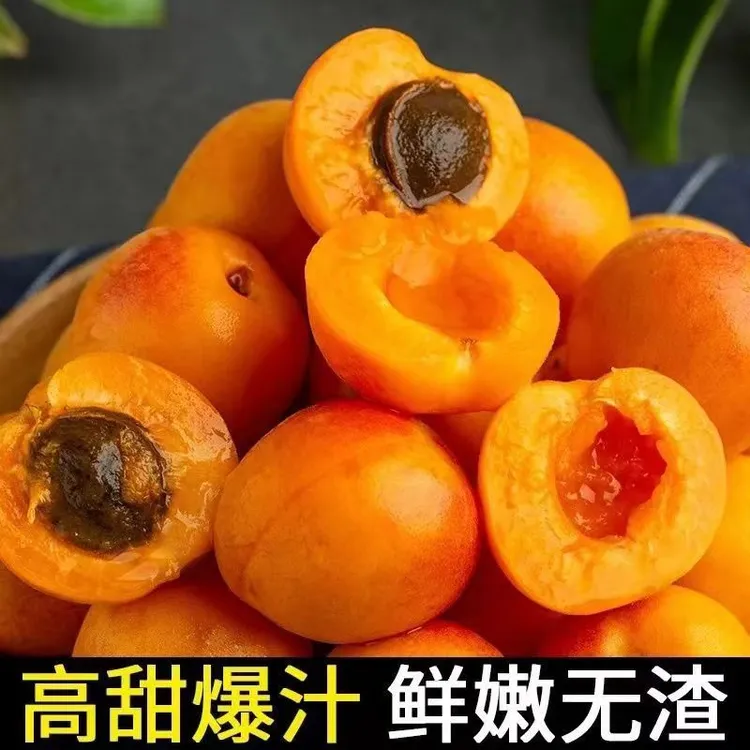 【王大水专属】正宗新疆小红杏阿克苏吊干杏新鲜水果爆汁