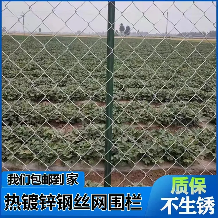 2.0粗防生锈勾花钢丝网热镀锌果园围栏网鸡鸭鹅专用养殖网防护网