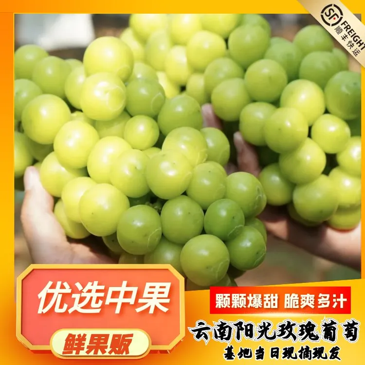 【下单加送1斤｜顺丰包邮】云南阳光玫瑰葡萄晴王香印青提整串包邮