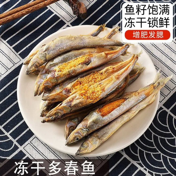 宠物零食新鲜营养冻干带籽多春鱼厂家批发多春鱼干鱼肉狗猫零食