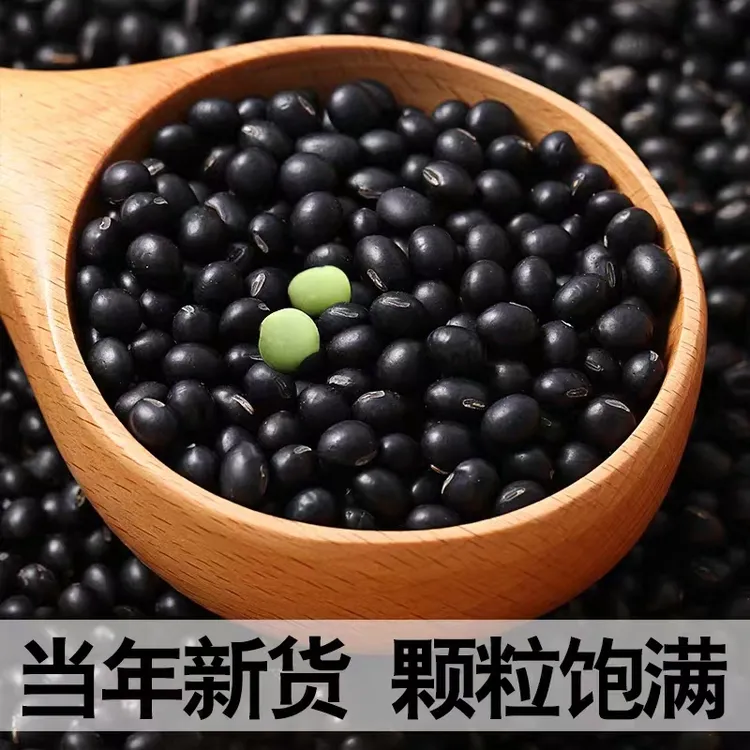 正宗新鲜黑豆绿心新货农家自产大绿芯大颗黑皮颗粒营养原味饱满