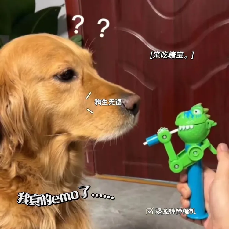 猫咪逗猫神器糖果恐龙机器人棒棒糖互动小狗小猫咪棒棒糖