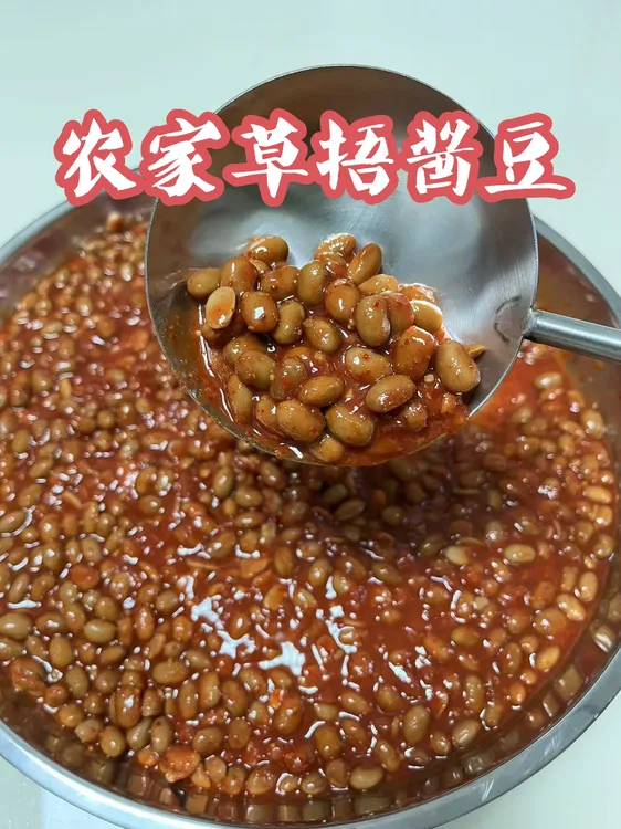 【豆妈优选】苏北特产  农家自制草捂上黄酱豆  美味下饭  瓶装发货