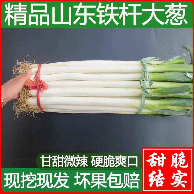 山东铁杆大葱正宗3/5/9斤新鲜蔬菜包邮批发甜好吃健康精甄选大葱