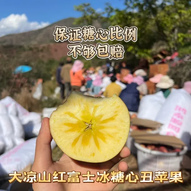 【顺丰京东】大凉山盐源红富士冰糖心丑苹果产地直发