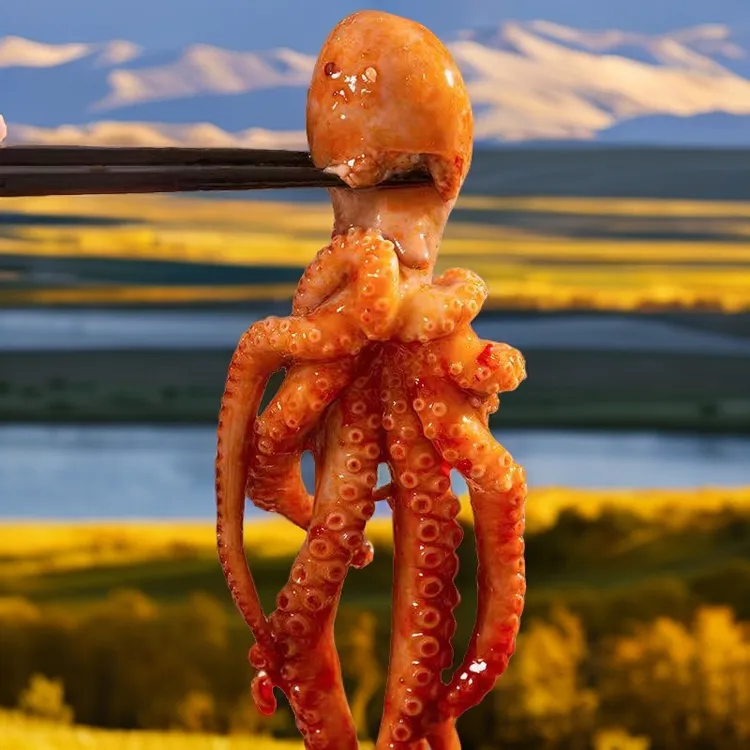 网红爆品零食鲜嫩优质香辣八爪鱼捞汁小海鲜新鲜罐装即食营养麻辣