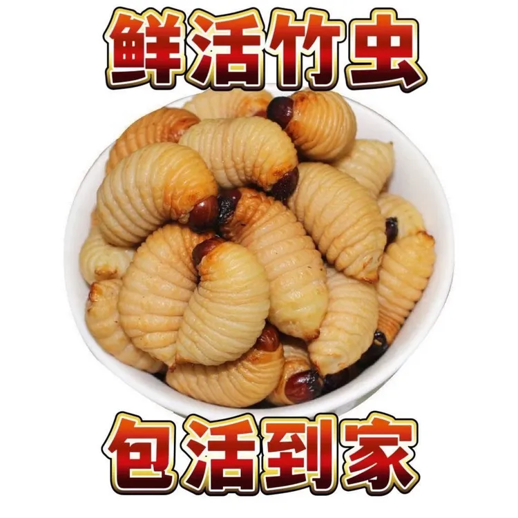 【乐乐妈专属包活到家】高蛋白竹笋虫营养美味下酒下饭直播引流道具