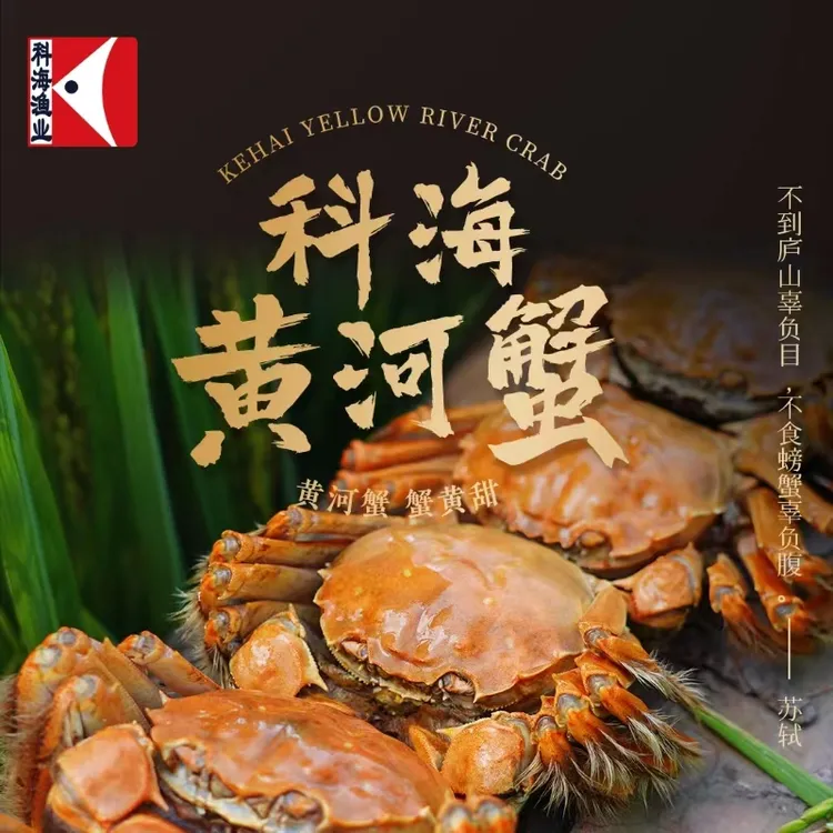 【到手8只】2.5两母3.5两公活蟹现发科海黄河蟹宁夏本地精品螃蟹