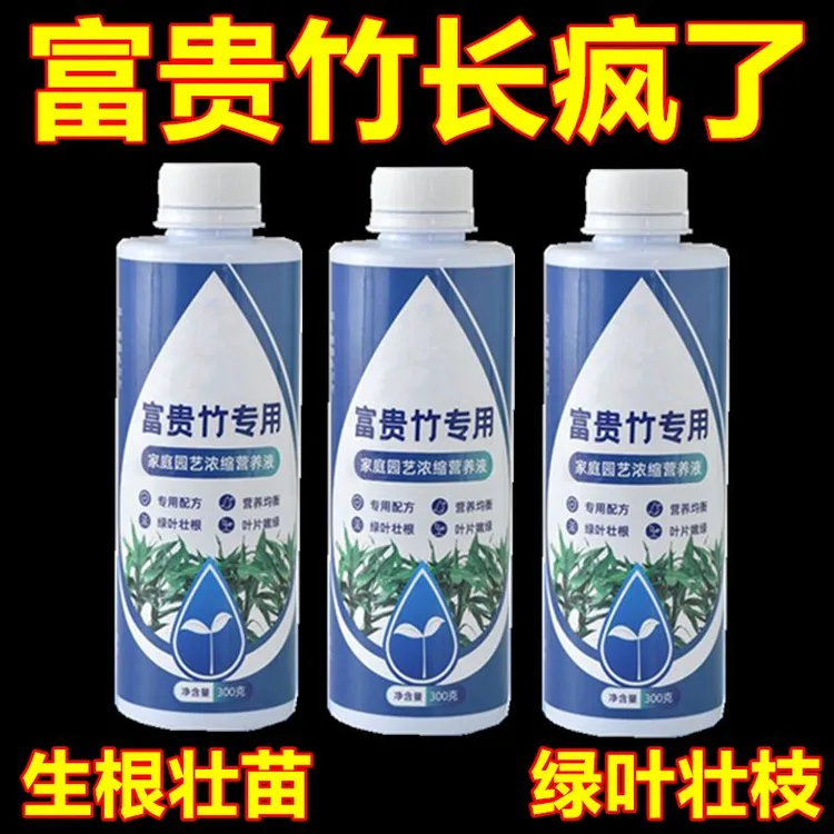 富贵竹专用营养液发财竹观音竹水培植物铜钱草绿植盆栽养花肥料