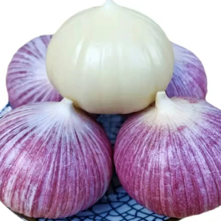 云南独头蒜 食用辛辣味浓 现挖今年大蒜 炒菜香3斤/5斤/9斤包邮