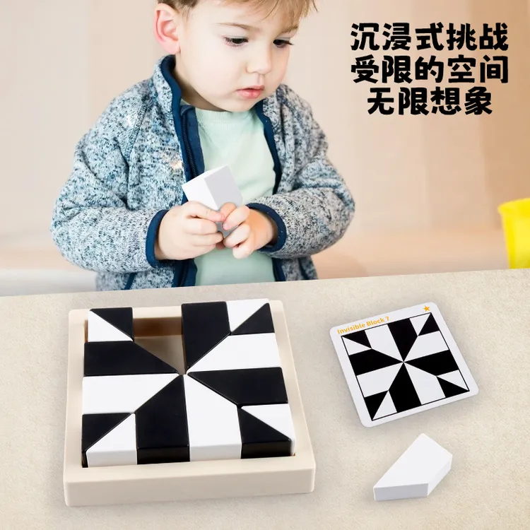 【老师推荐逻辑训练】益智隐藏积木儿童玩具提升逻辑思维开发脑智力商品图