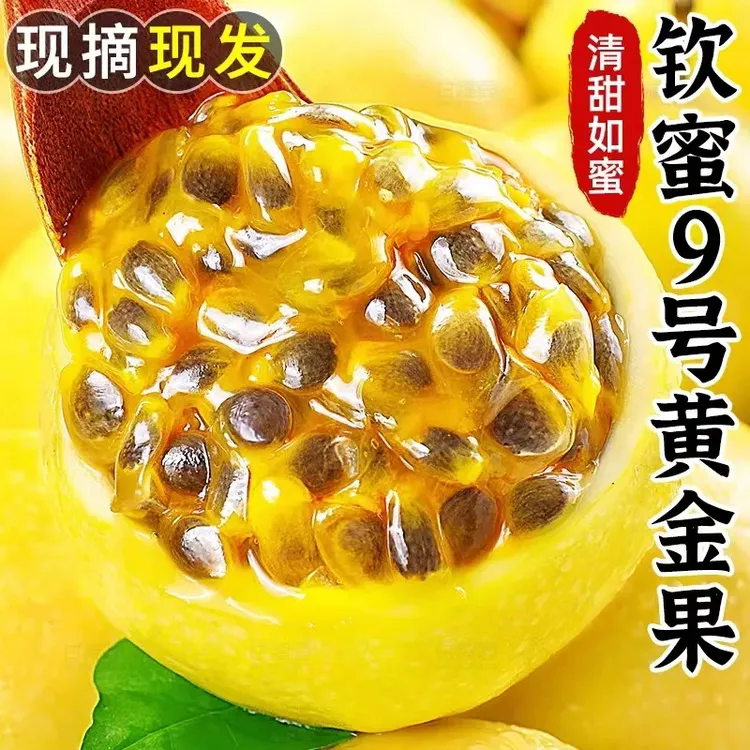 全爸农产品正宗钦蜜9号黄金百香果现摘新鲜口感甜（南宁中转）