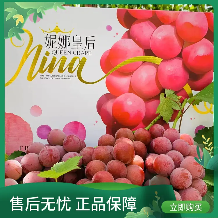 云南正宗妮娜皇后葡萄1.5-5斤整串新鲜现摘顺丰空运提子礼盒