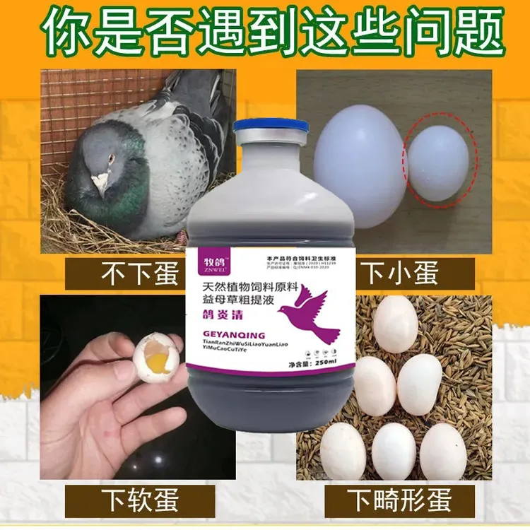 牧鸽牧鸽鸽炎清  纯植物粗提添加剂饲料