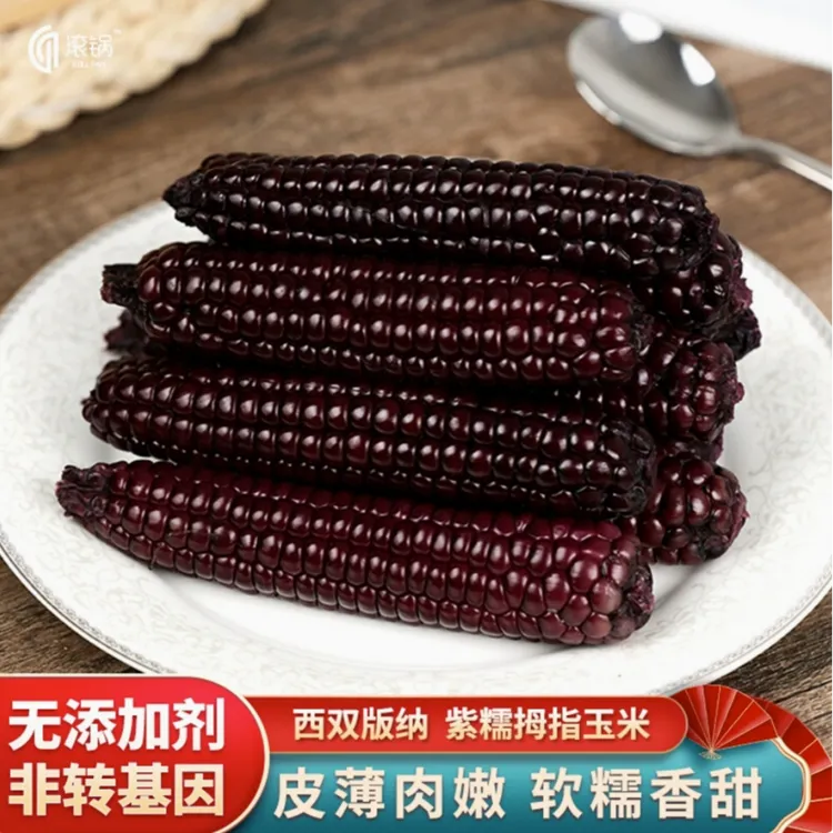 七彩大滇源农科版纳紫糯拇指玉米2斤 糯香甜傣家土法种植真空锁鲜