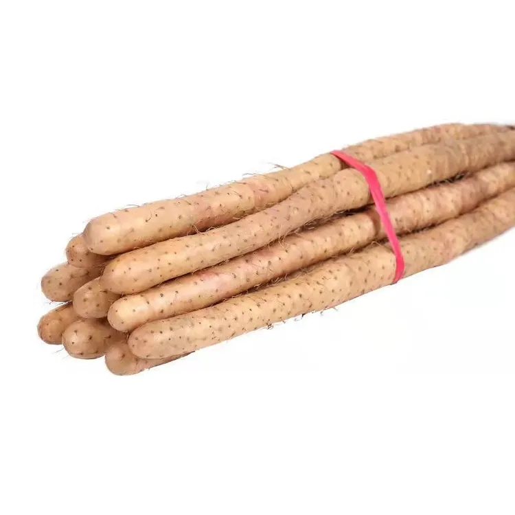 铁棍山药软糯香甜营养高产地直发5斤装原产地垆土山药50-70公分