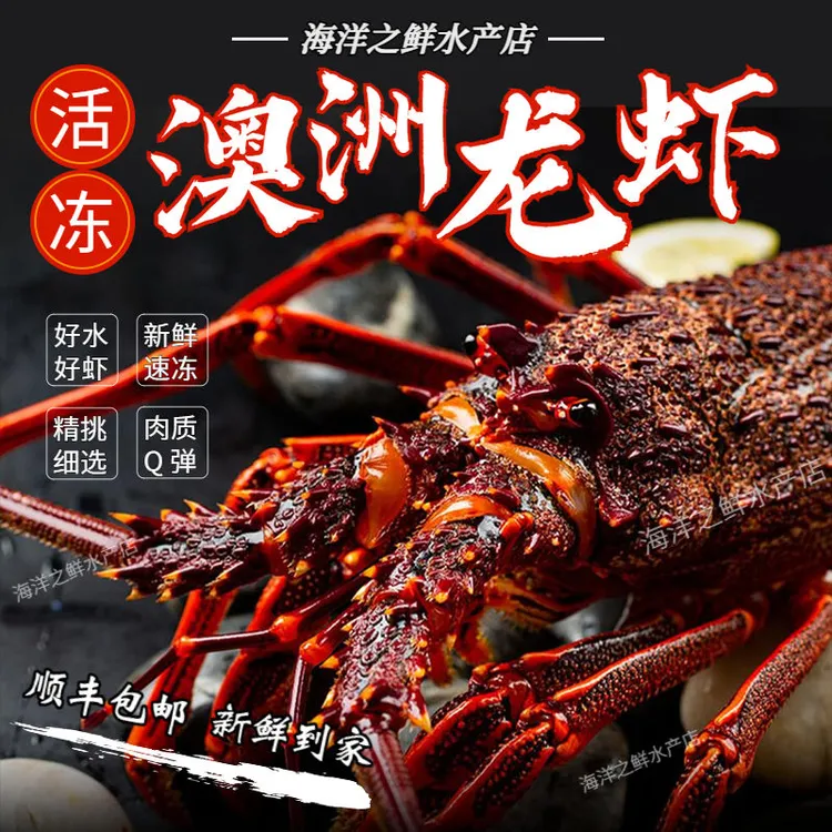 活冻澳大利亚龙虾生冻澳洲大龙虾2-6斤空运直达（包鲜）澳龙大龙虾