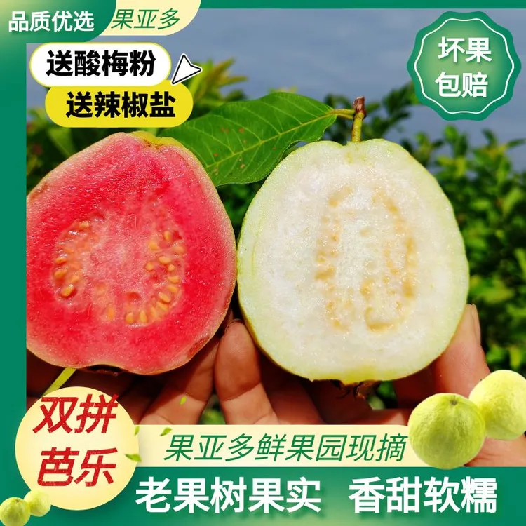 广西双拼芭乐红白心混装奶油番石榴奶油当季水果软糯产地直销团购