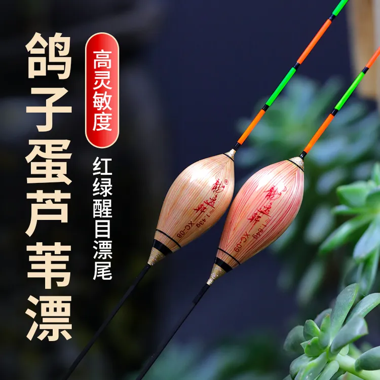 芦苇浮漂60CM加长截口行程漂高灵敏鲫鱼漂鸽子蛋型黑坑鲤鱼流氓漂
