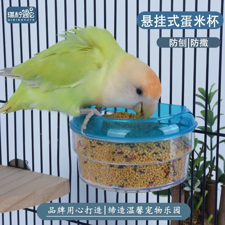 琪柠遇它【鹦鹉悬挂蛋米杯】鹦鹉食盒放撒防溅喂水器牡丹玄凤虎皮