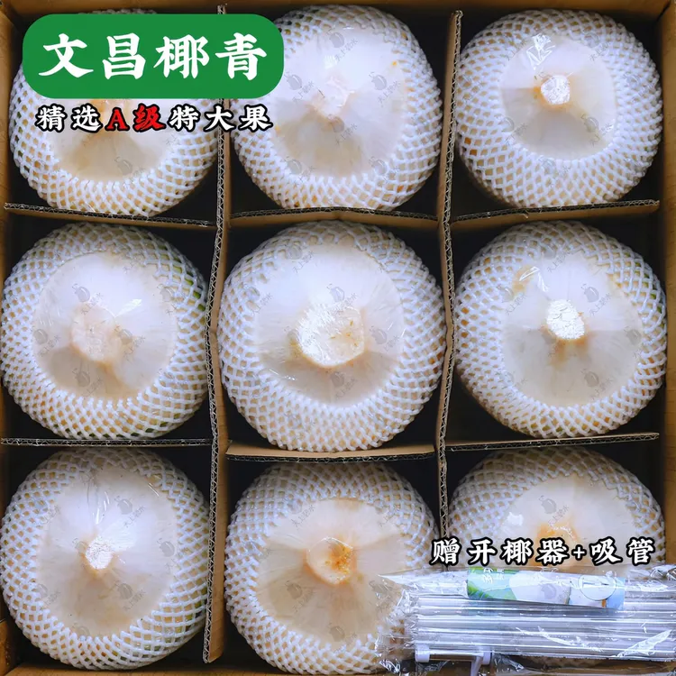 【A级特大果】海南文昌去皮椰子椰青孕妇水果新鲜椰香东郊发货采摘