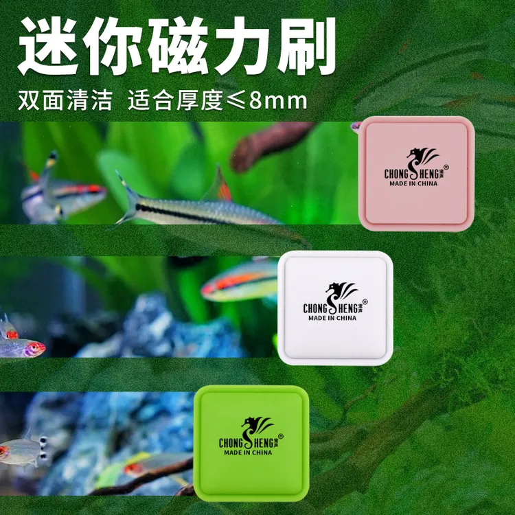 鱼缸刷迷你强力磁力刷小型强磁擦玻璃缸器清洗无死角清洁除藻神器