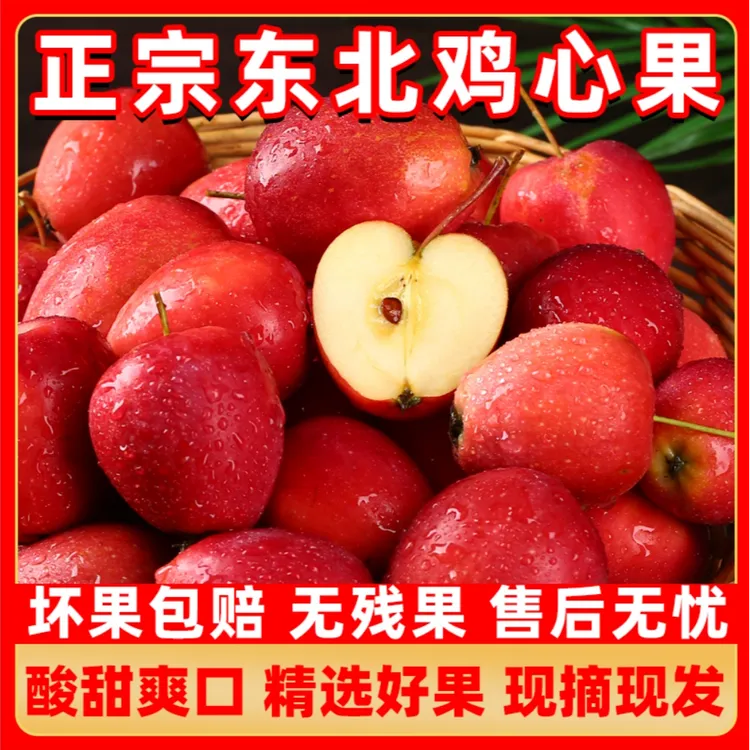 达人专属东北鸡心果 锦绣海棠果脆甜多汁现摘现发 新鲜水果