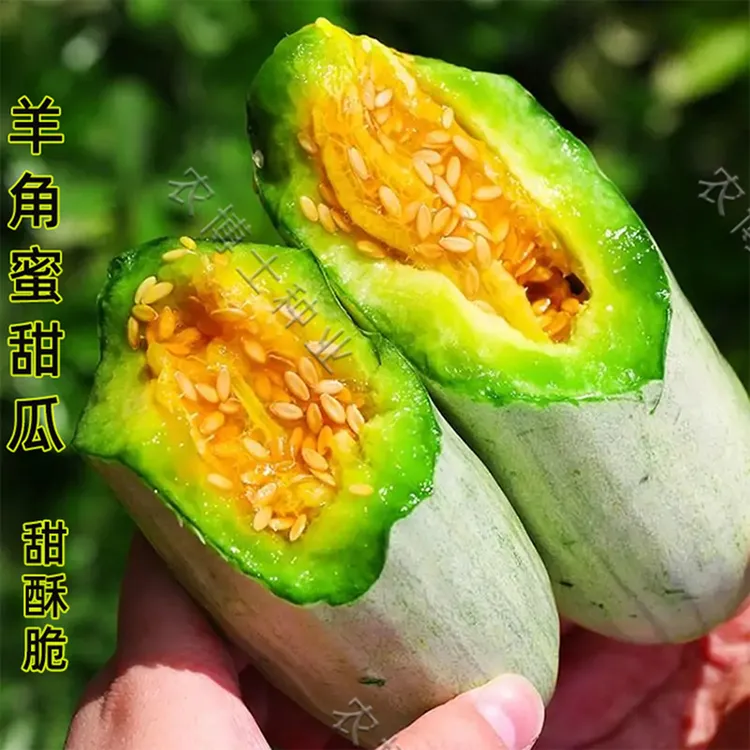 羊角蜜博洋9绿宝石甜香瓜种子冰糖籽白沙蜜罐羊角酥四季水果甜瓜