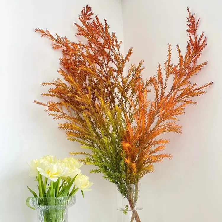 高端稀有软装花材【千层金】观赏好看新手养护新鲜