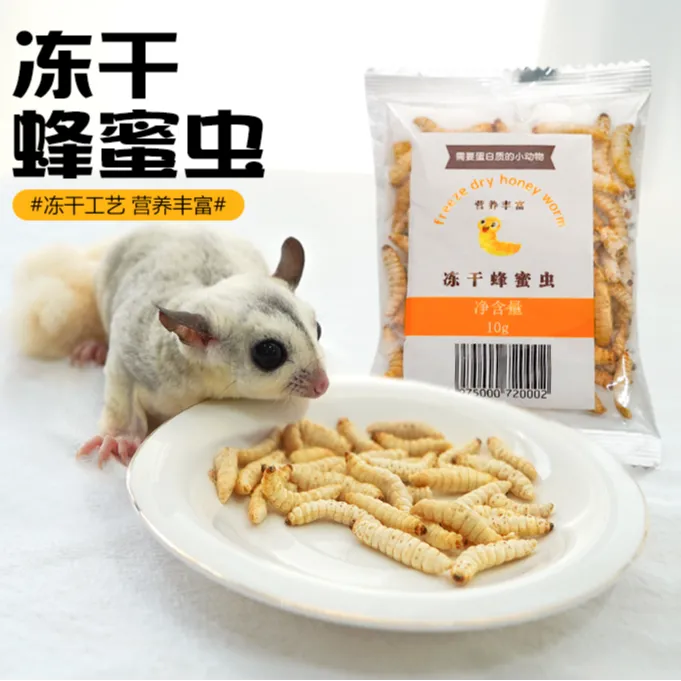 蜜袋鼯零食仓鼠金丝熊粮食冻干蜂蜜虫干松鼠花枝鼠食物增肥营养商品图