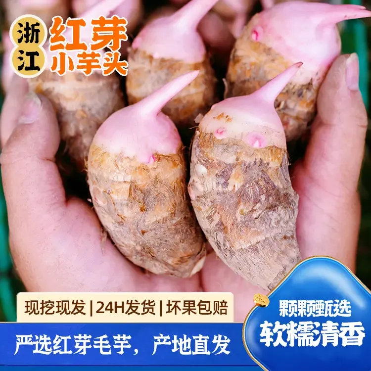 浙江金华新鲜红芽芋头软糯拉丝小芋头新鲜芋头仔芋头新鲜香芋软糯