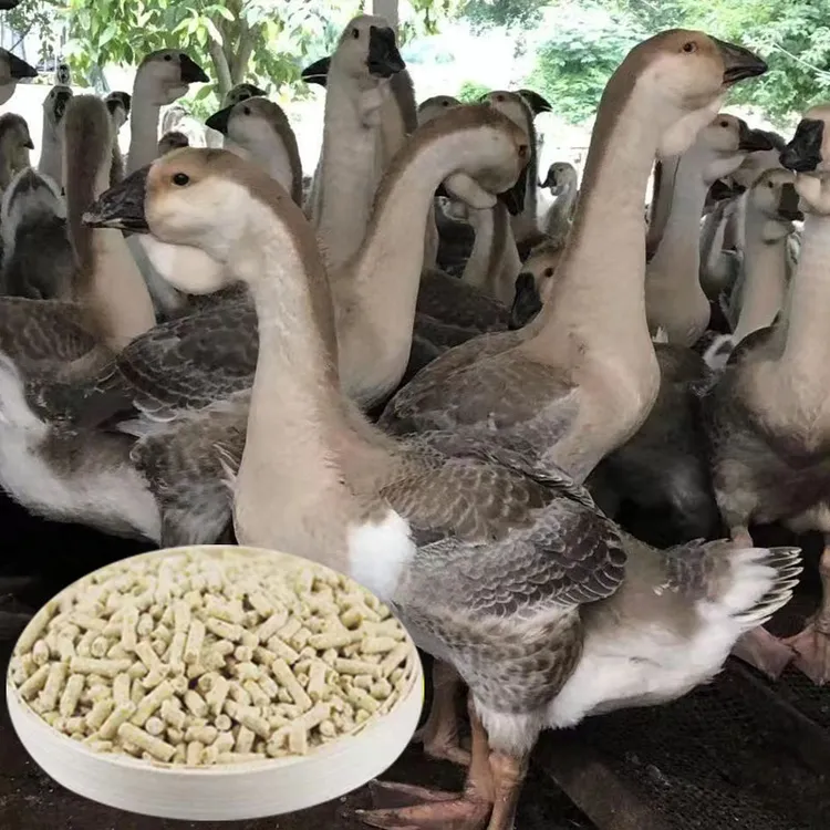 狮头鹅鹅飼料中大鹅专用颗粒飼料育肥鹅通用全价料高蛋白开口料