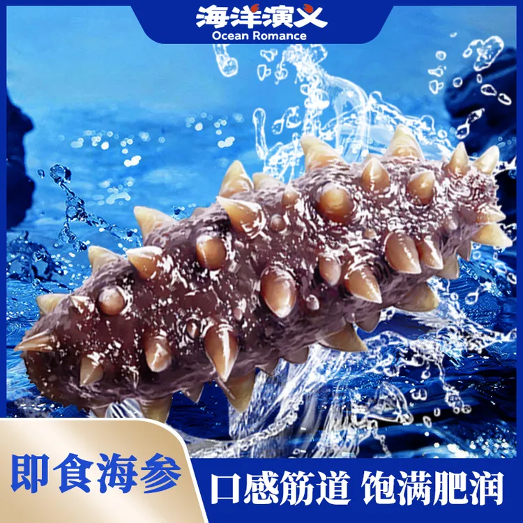 【精选】海洋演义 即食海参(8-10头)500g/包*3包