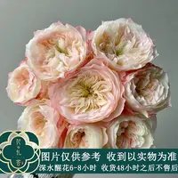 【小梨涡】楠桐基地单头玫瑰 鲜花优选 顺丰直发