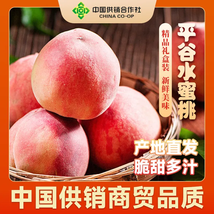 供销商贸丨北京平谷水蜜桃新鲜采摘现摘现发精品正宗大桃皮薄多汁